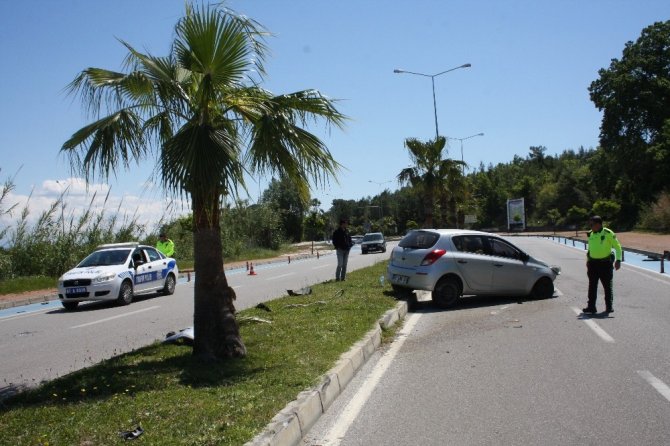 Palmiye ağacına çarpan otomobilin sürücüsü yaralandı
