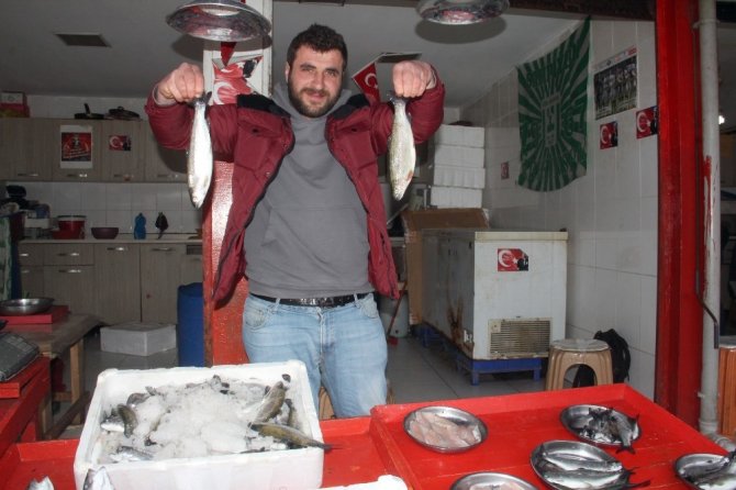 Balık av sezonu bitti, fiyatlar yükseldi