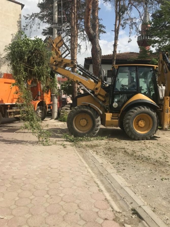 Sapanca’da çevre temizlik çalışmaları devam ediyor