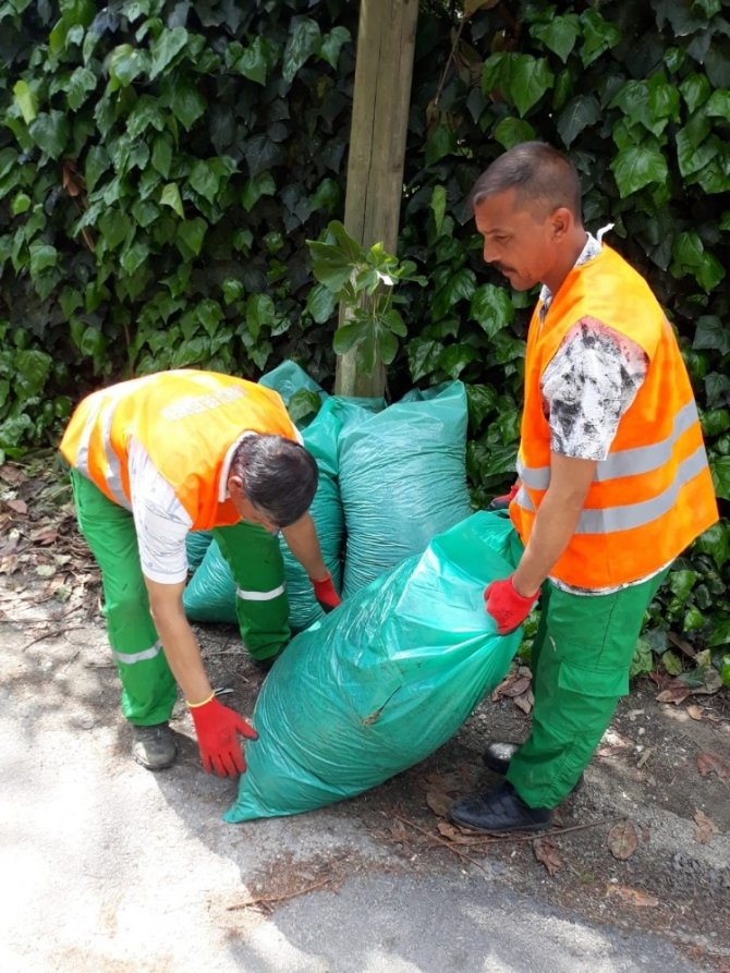 Sapanca’da çevre temizlik çalışmaları devam ediyor