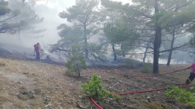 Adıyaman’da yangında 3 hektarlık orman zarar gördü