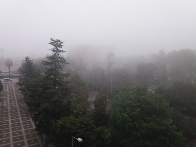 Samsun’da yoğun sis