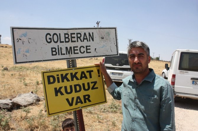 Diyarbakır’da kuduz alarmı