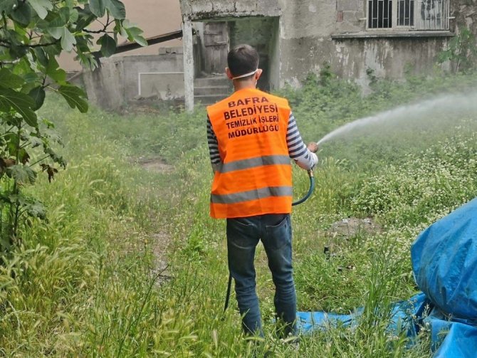 Bafra Belediyesi larva ilaçlamasını sürdürüyor