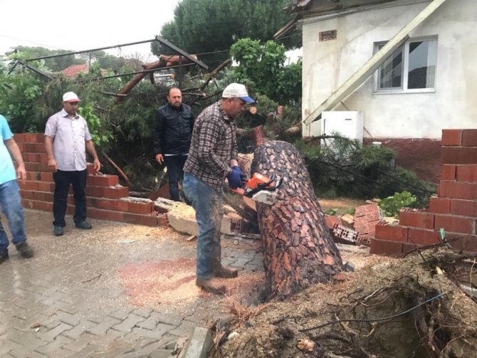 Fırtına yüzünden 50 yıllık ağaç yan evin terasına düştü