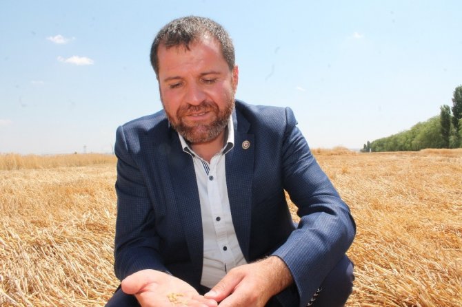 Diyarbakır’da yılın ilk buğday hasadı yapıldı