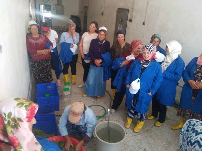 ’Kadın Çiftçiler Tarımsal Yeniliklerle Buluşuyor’ programı uygulamaya geçirildi