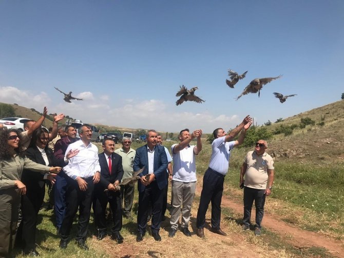Kırıkkale’de 2 bin keklik doğaya bırakıldı