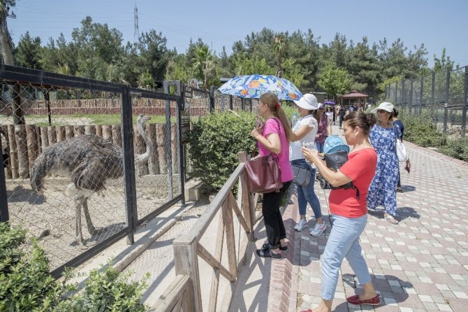 Çocuklar anneleriyle Tarsus Hayvan Parkı’nı gezdi