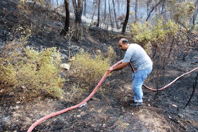 Bodrum’daki orman yangını söndürüldü