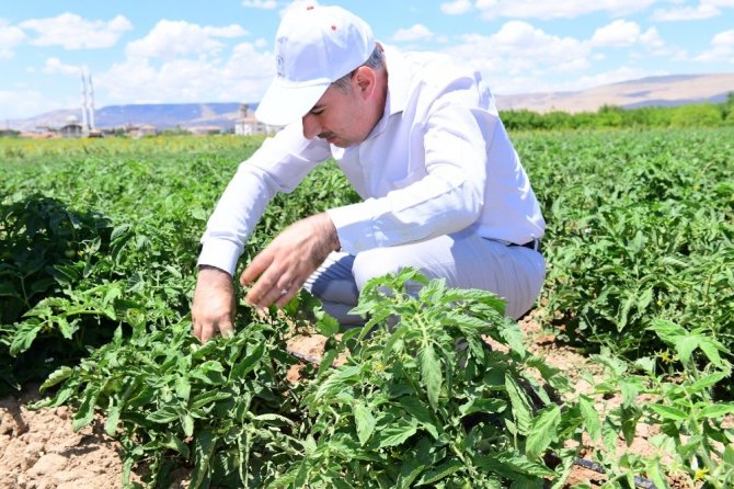 Yeşilyurt’ta yüzde yüz yerli tarımsal üretim devam ediyor