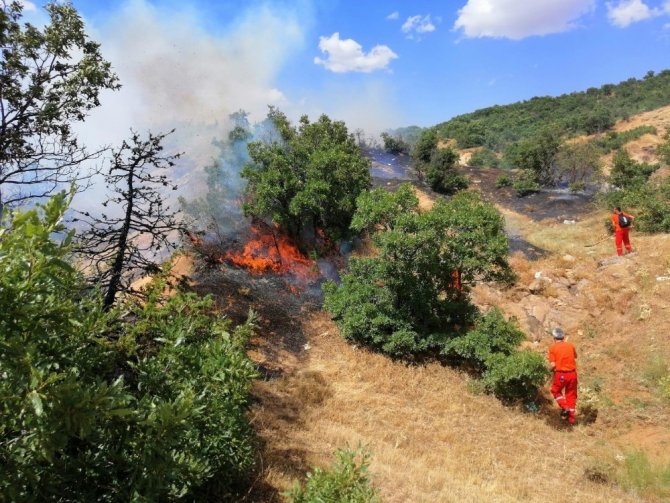 Köyde yangın çıktı, bazı ağaçlar zarar gördü