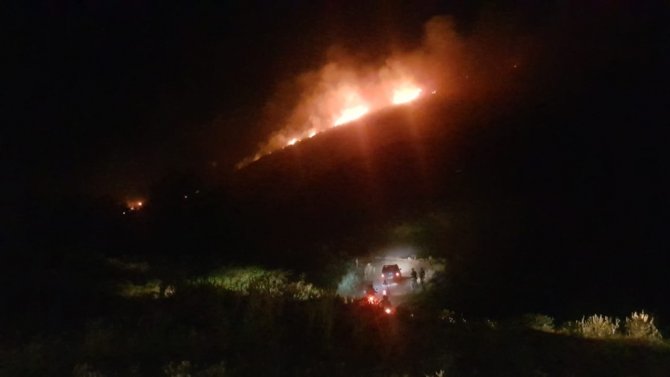 Aydın’da yangın; Makilik alanda başlayan yangın ormana doğru ilerliyor