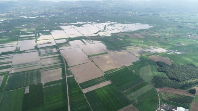 Sakarya’da 20 bin dekar tarım alanı sular altında kaldı