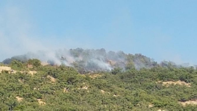 Hozat’ta orman yangını, ekipler müdahale ediyor