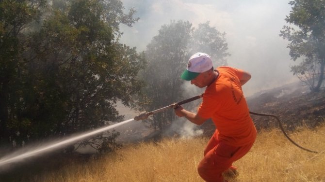 Bingöl’de 2 köyde çıkan yangın söndürüldü