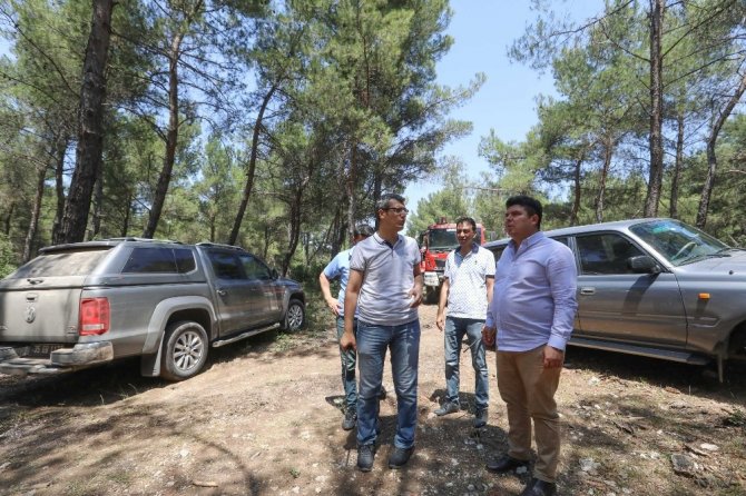 Binlerce İzmirli gönüllü oldu: "Ormanlarımız için bizde yardım edelim"