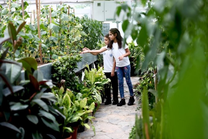 Bağcılar’da çocuklar organik tarımla büyüyor
