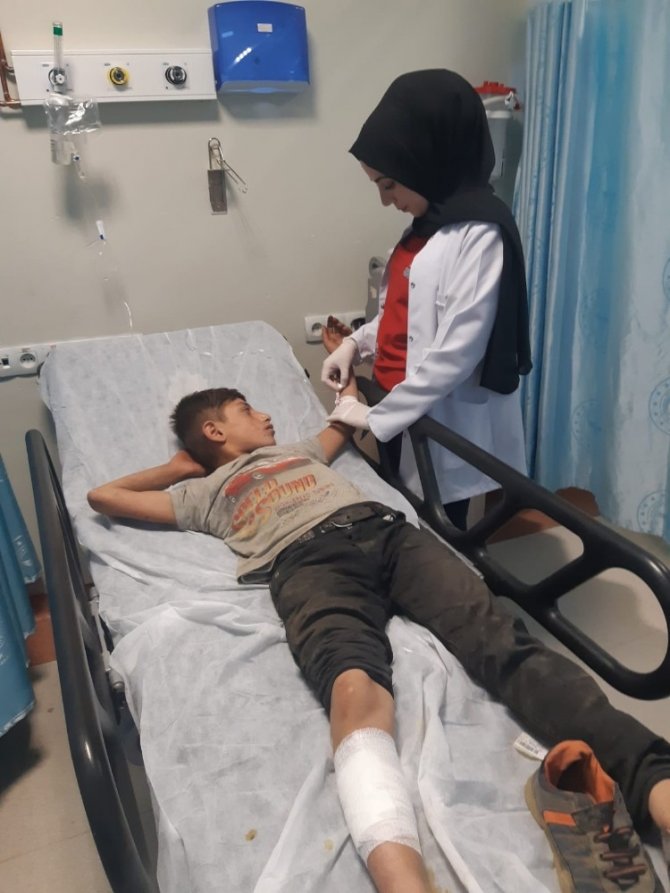 Siirt’te eşeğin teptiği çocuk yaralandı