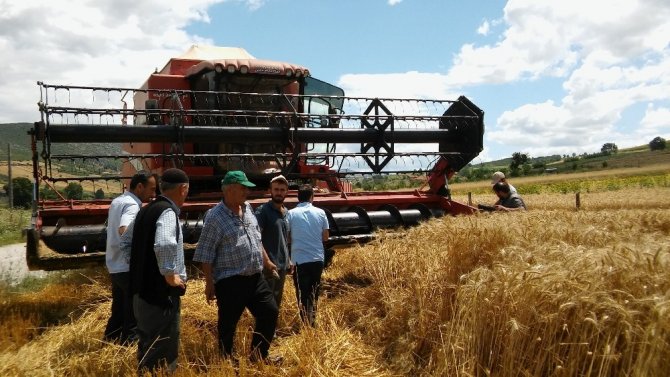 Buğday hasadında dane kaybı düştü, 4 milyon 415 bin TL kazanç sağlandı