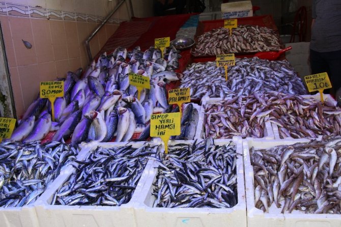 Balık pazarlarında talep aynı fiyatlar farklı