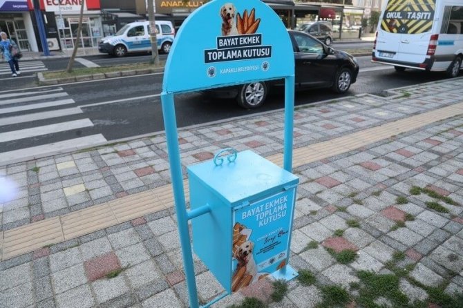 Belediyeden sokak hayvanları için anlamlı proje