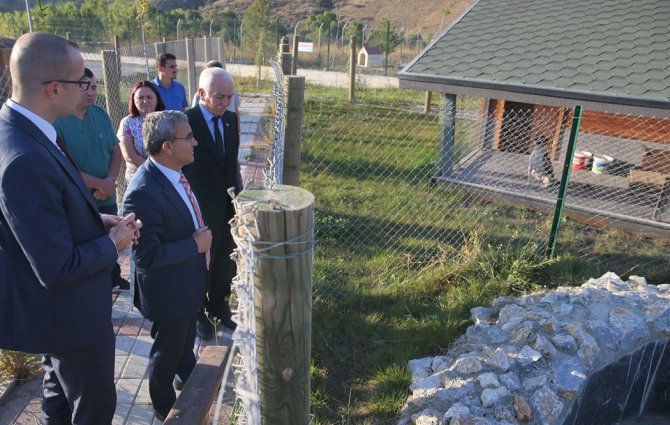 Başkan Alim Işık: "Bölgenin en modern hayvan barınağı Kütahya’da"