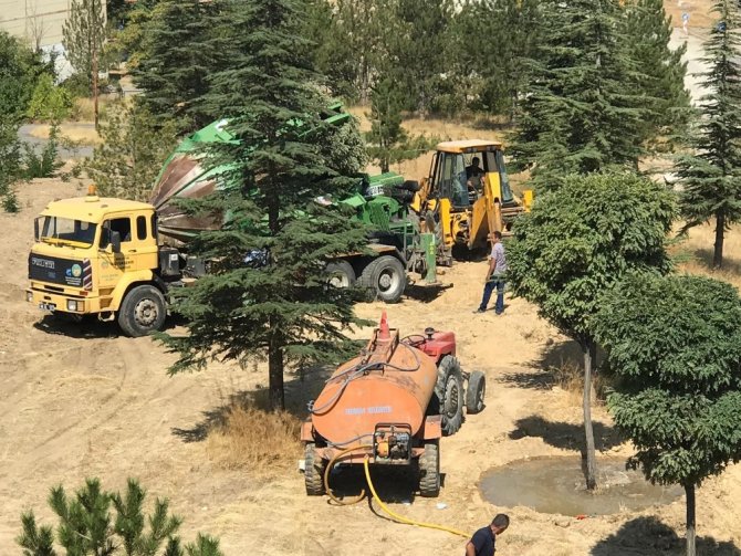 Hekimhan Belediyesi yol çalışma alanındaki ağaçları taşıyor
