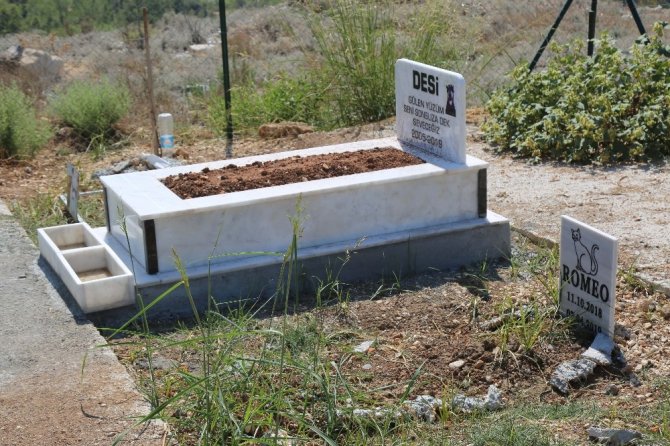 Mezitli Belediyesi Hayvan Mezarlığı büyük ilgi görüyor