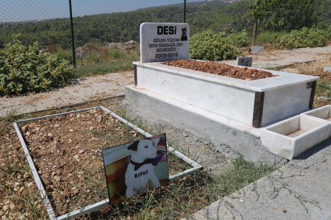 Mezitli Belediyesi Hayvan Mezarlığı büyük ilgi görüyor