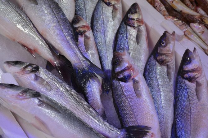 Karadeniz’de balık fiyatları