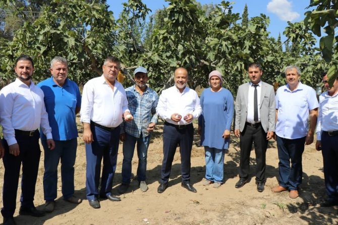 Milletvekili Yavuz’dan incir üreticisine uyarı