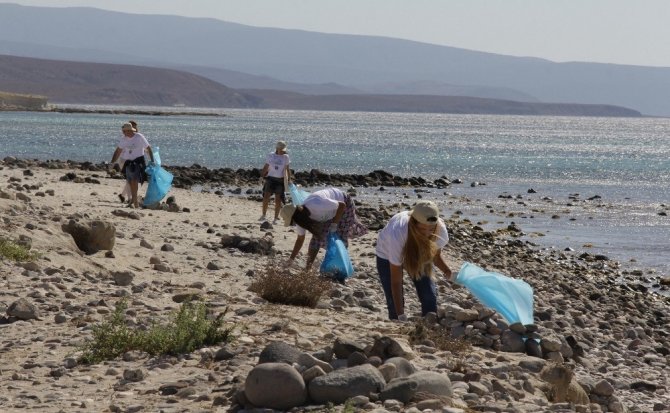Aras Kargo’dan Uluslararası Kıyı ve Deniz Temizliği Günü’nde anlamlı etkinlik