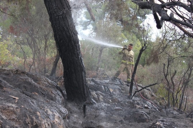 Erdemli’de 10 hektar kızılçam ormanı yandı