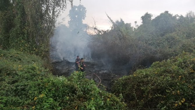 Manavgat Irmak kenarında çalılık alanda yangın çıktı