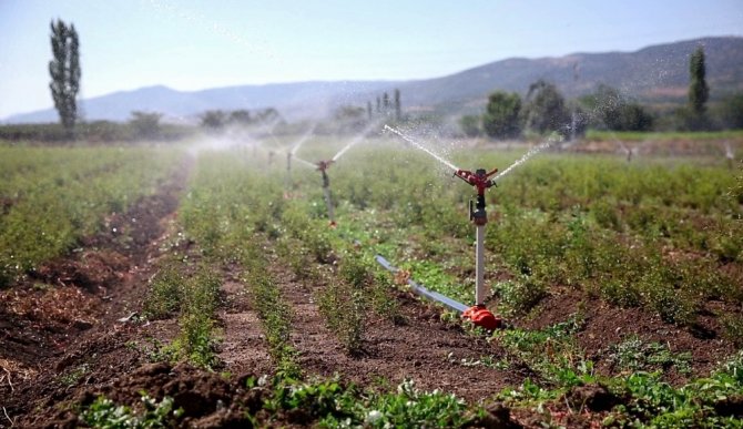 Tokat’ta 243 bin 490 dekar tarım arazisi sulandı