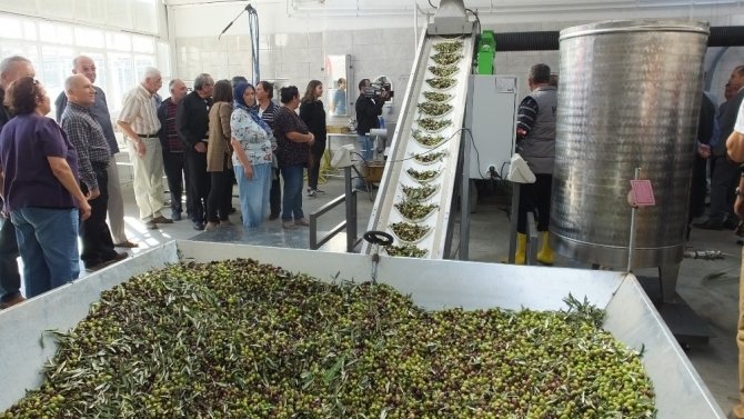 Balıkesir’de 60 yıllık zeytinyağı fabrikası devlet desteği ile yenilendi