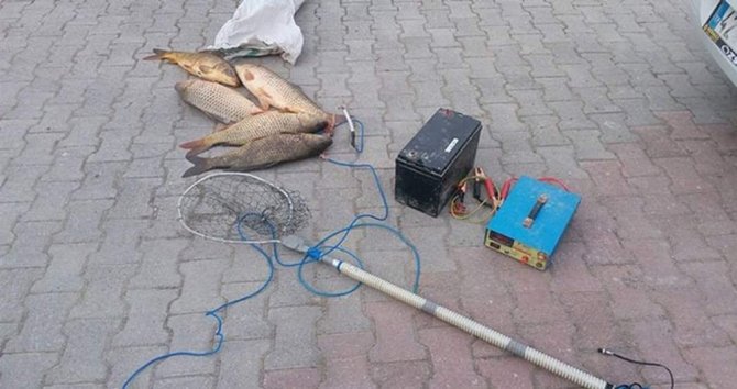 Siirt’te kaçak balık avlayan 2 kişi yakalandı