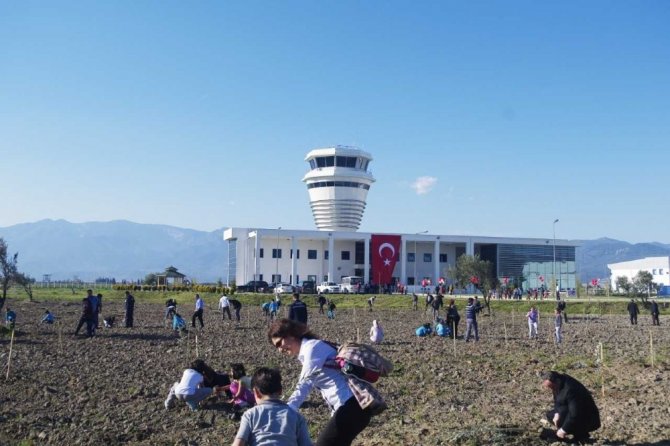 DHMİ, Türkiye’deki havalimanlarına 100 bin fidan dikecek