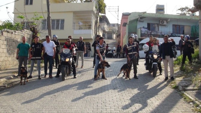 İskenderun polisinden dedektör köpeklerle uyuşturucu baskını