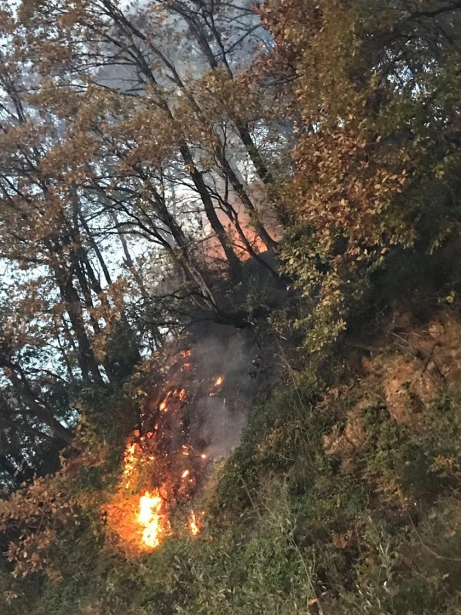 Kocaeli’de ormanlık alanda yangın