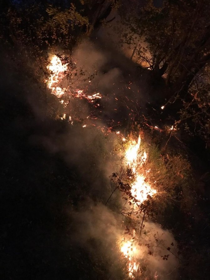 Kocaeli’de ormanlık alanda yangın