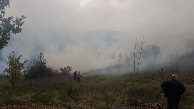 Altınova’da orman yangını