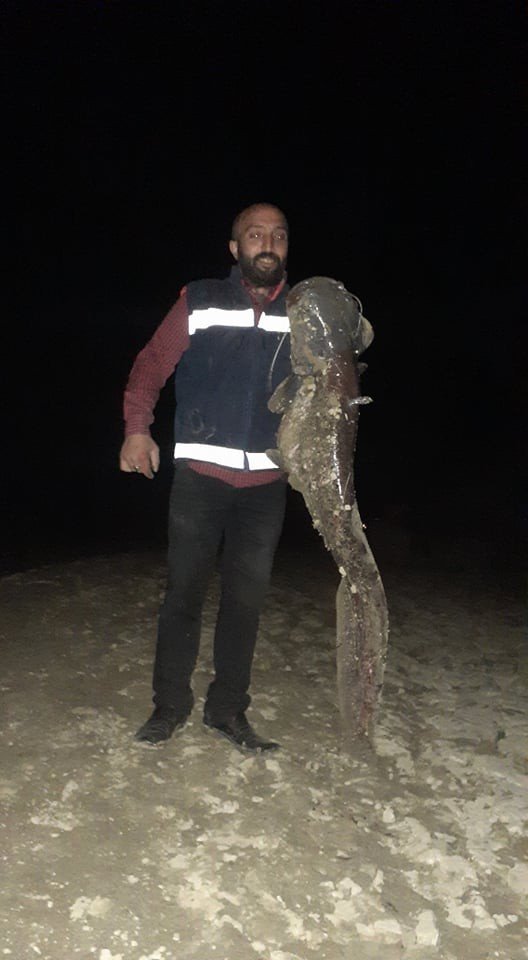 İki atışta 55 kilogramlık 2 yayın balığı yakaladı