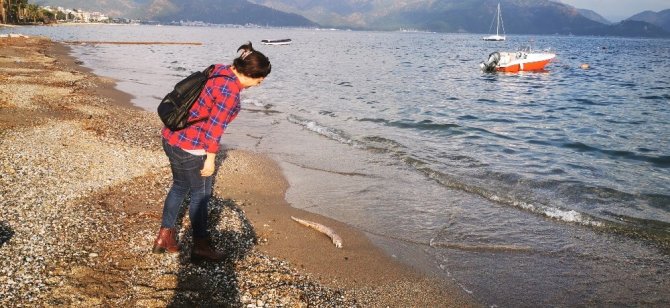 Sahile vuran müren balığı vatandaşları şaşırttı