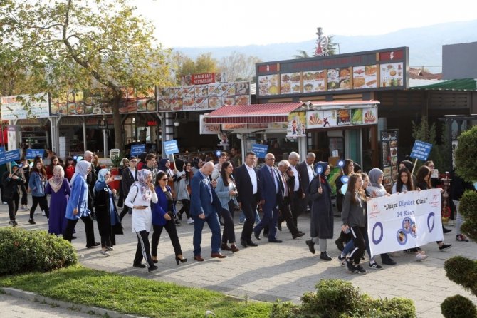 Sapanca’da Sağlıklı Yaşam için farkındalık yürüyüşü düzenlendi