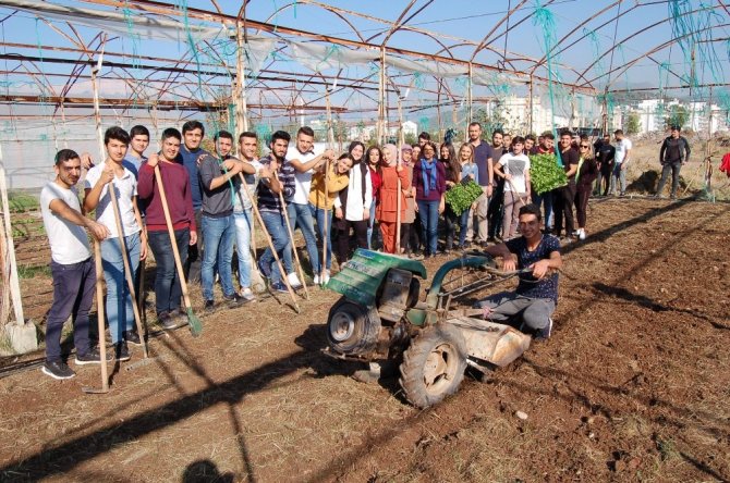 Kumluca’da öğrenciler kışlık sebze ekimi yaptı