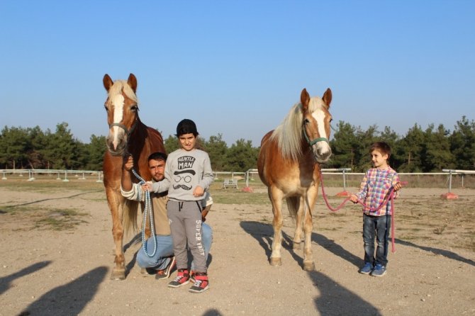 İzmir’in fayton atları ikinci baharlarını Bursa’da yaşıyor