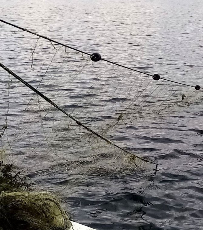 Kaçak av için gölete bırakılan bin 600 metrelik misina ağı imha edildi