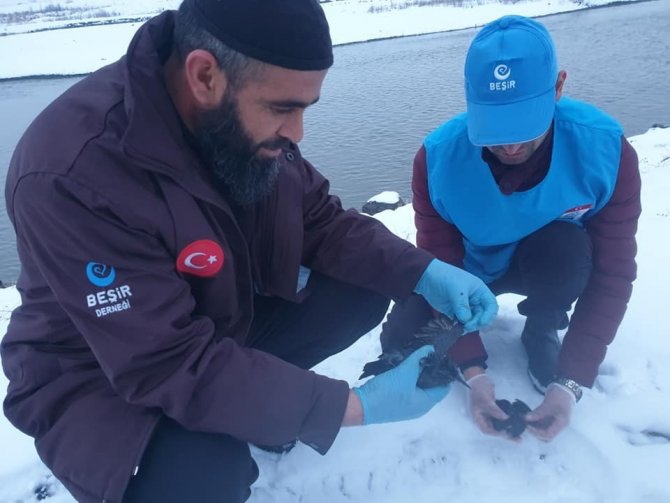 Ağrı’da donmak üzere olan kuşları yardım ekibi kurtardı
